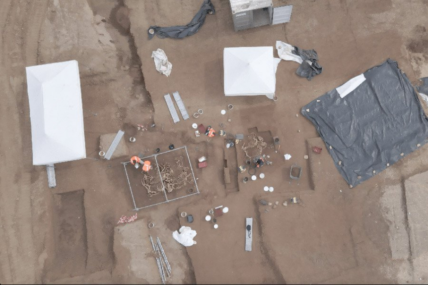 Обнаружено ритуальное захоронение десятков лошадей времен Галльских войн