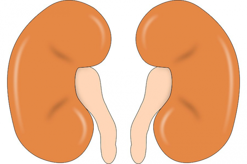 PubMed: препарат снижает риск осложнений при хронической болезни почек