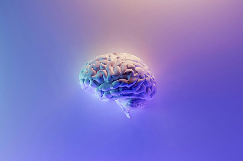 Жалобы на память могут предсказать биологические изменения в мозге