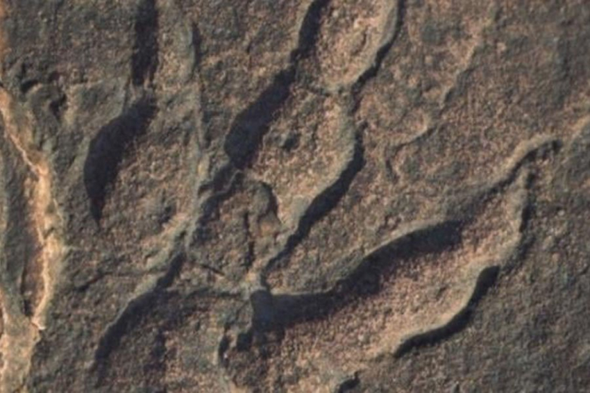 PGA: происхождение «валлийских драконов» наконец раскрыто 