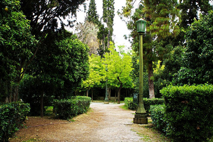 Всего несколько зеленых насаждений в городе могут улучшить психическое здоровье