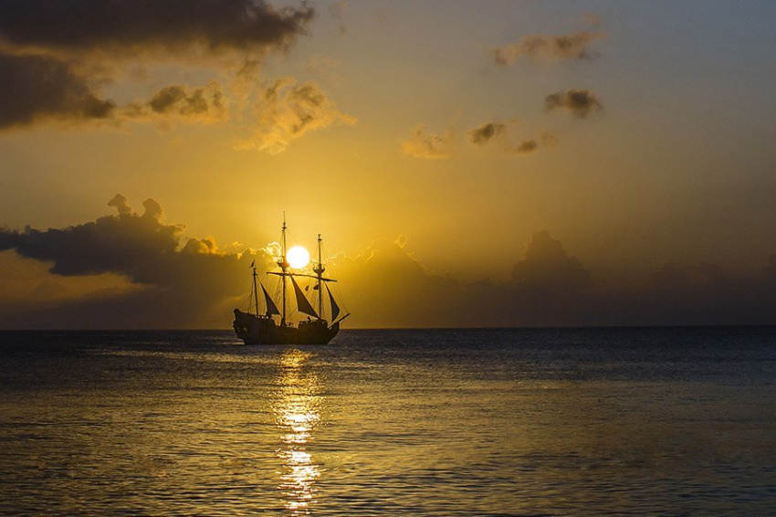 Ученые выяснили, как люди распространяют малярию по всему миру