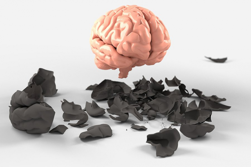 «Временные клетки» в мозге могут быть важнее, чем считалось