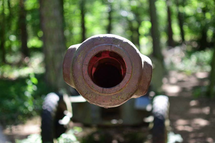 Военные Белоруссии и Украины вступили в игру на нервах