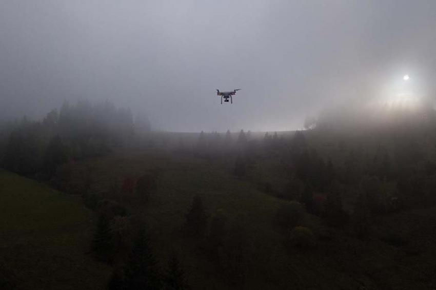 Минобороны: в Белгородской и Воронежской областях за ночь за ночь сбили два БПЛА