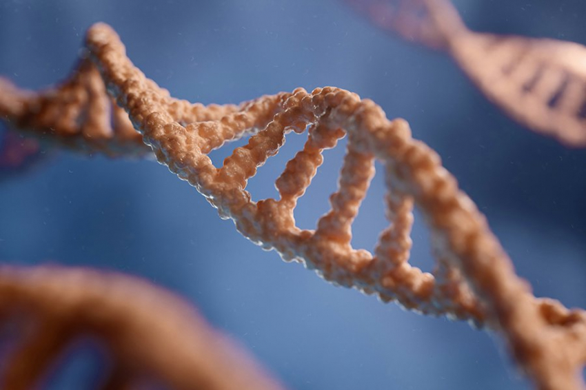 Анализ ДНК показывает, что чума была причиной упадка фермеров каменного века