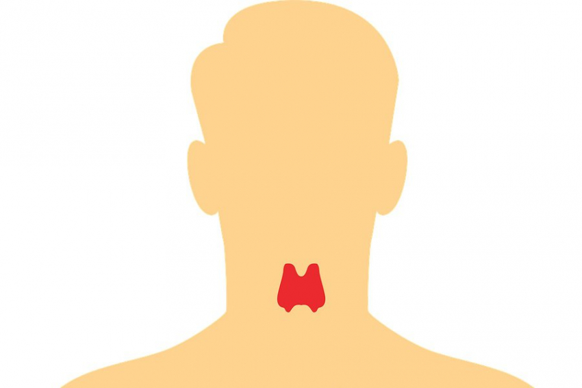 В России разработали устройство для безопасных операций на щитовидной железе