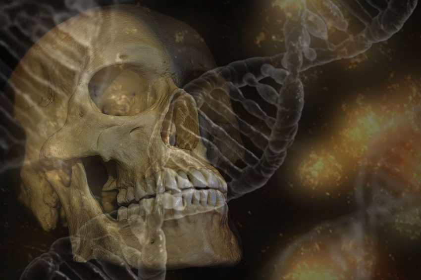 Ученые рассказали, как выглядели лица неандертальцев и денисовцев