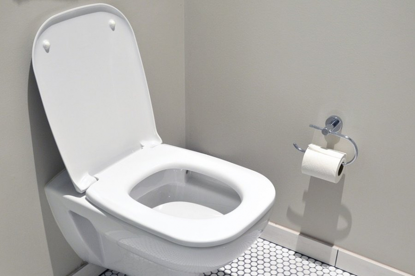 Исследование связывает частоту дефекации с долгосрочным здоровьем