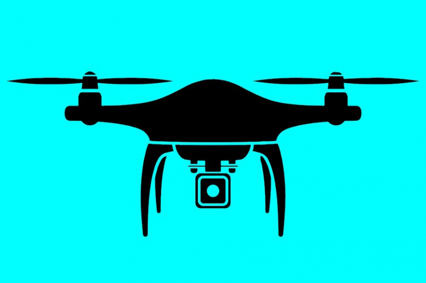 Пчёлы и муравьи научили крошечных роботов возвращаться домой