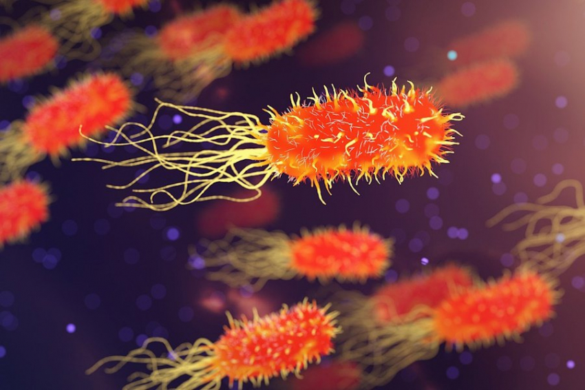 Выявлен потенциал бактерий в лечении хронических ран у диабетиков