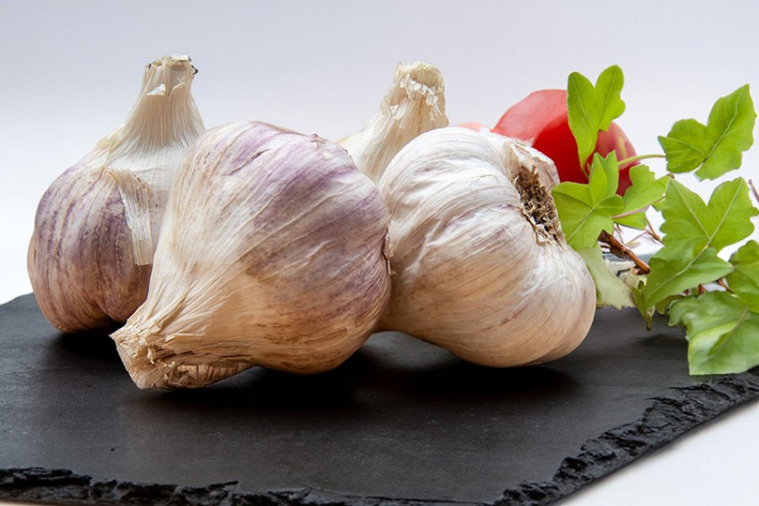 Frontiers in Pharmacology: чеснок как мощное оружие против атеросклероза