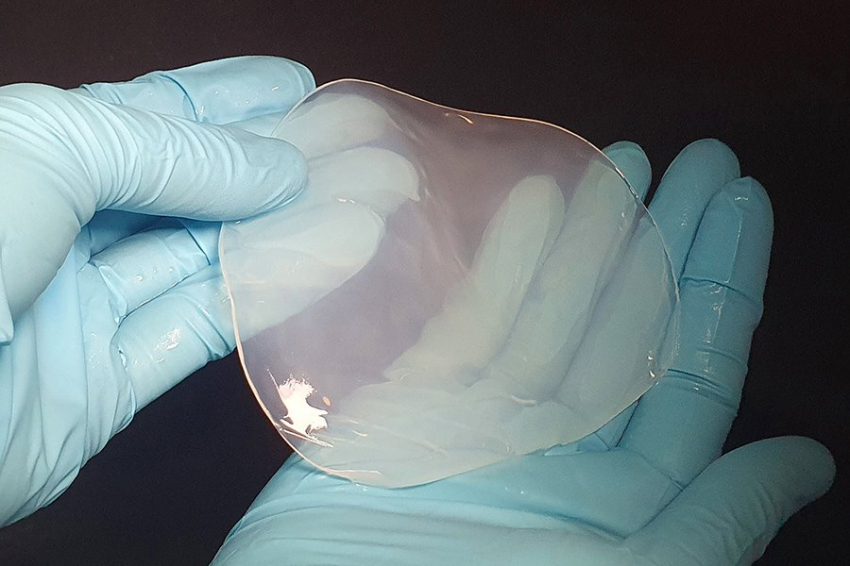 Ученые превращают бактерии в эффективных производителей целлюлозы