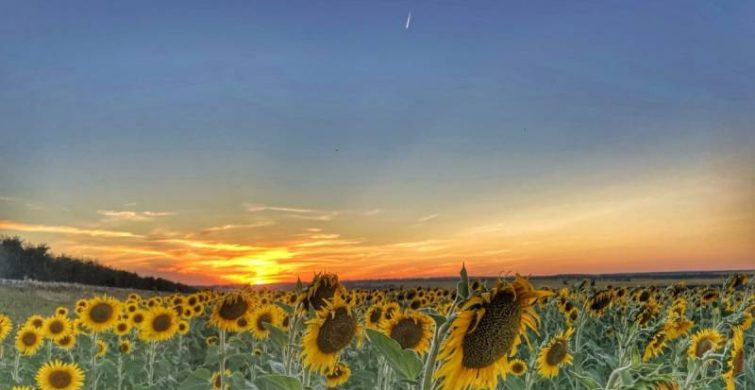 Главные традиции и запреты народно-христианского праздника 25 августа 2024 года