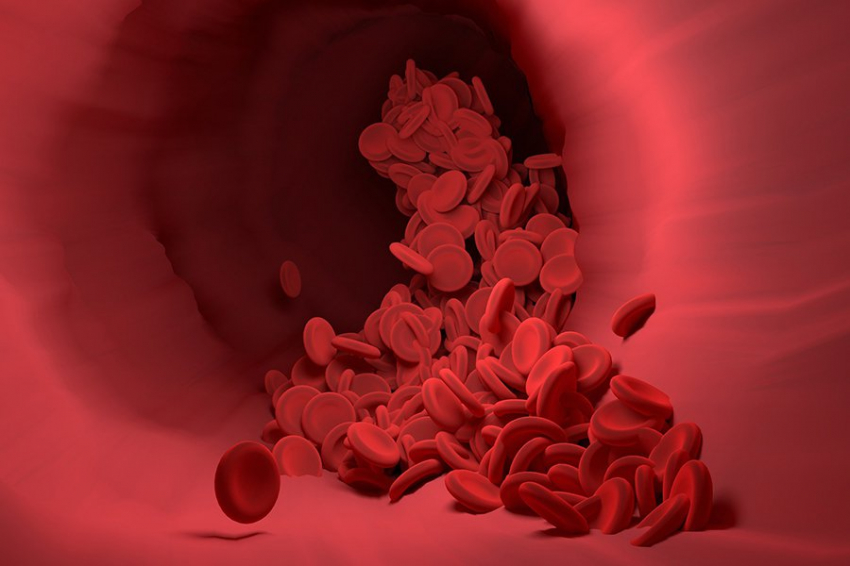 Ученые разработали новый метод печати на 3D-принтере кровеносных сосудов