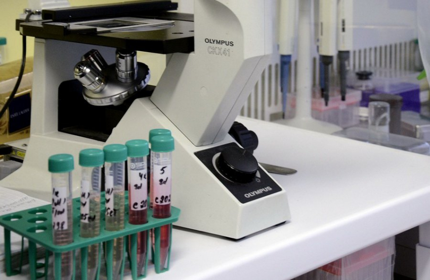 Выявлена связь между уровнем магния в крови и состоянием ДНК человека