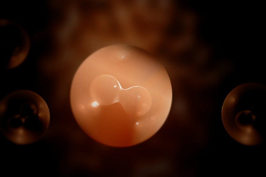 Обнаружен неизвестный механизм, необходимый для деления бактериальных клеток