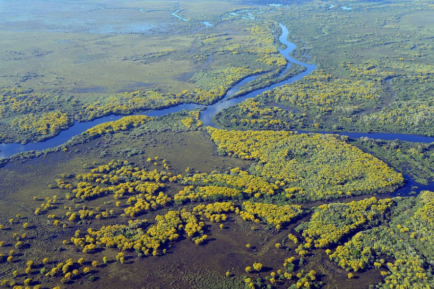 Превращение реки Пантанал в водный путь угрожает крупнейшей экосистеме