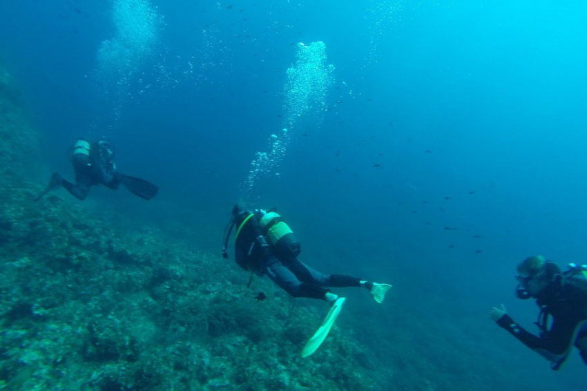Подводные археологи рассказали об уникальных находках с затонувшего судна XIX века