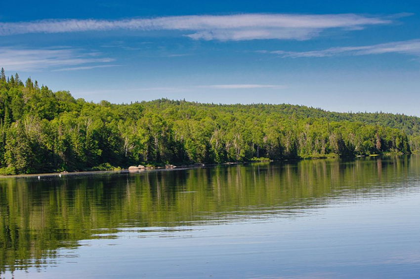 Nature: выбросы углерода из лесной почвы возрастают с ростом температуры