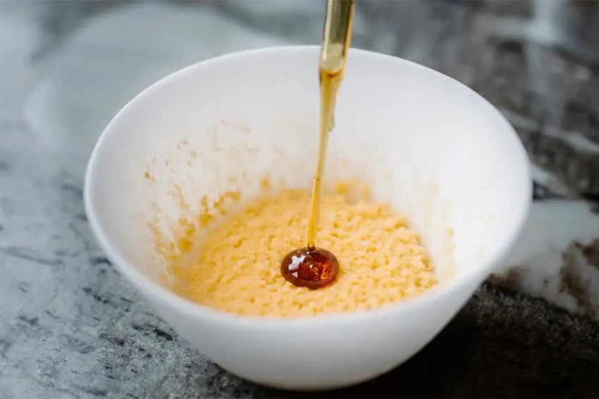 Грибок превращает пищевые отходы в изысканную кухню