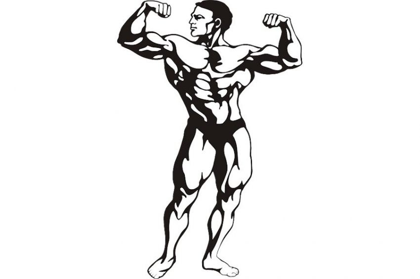 Игнорируемые «верёвочные» мышцы играют ключевую роль в развитии силы