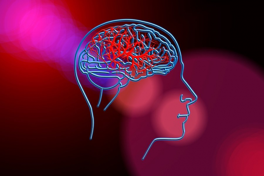 Science Advances: мозговая жидкость может перемещаться в отдаленные части тела