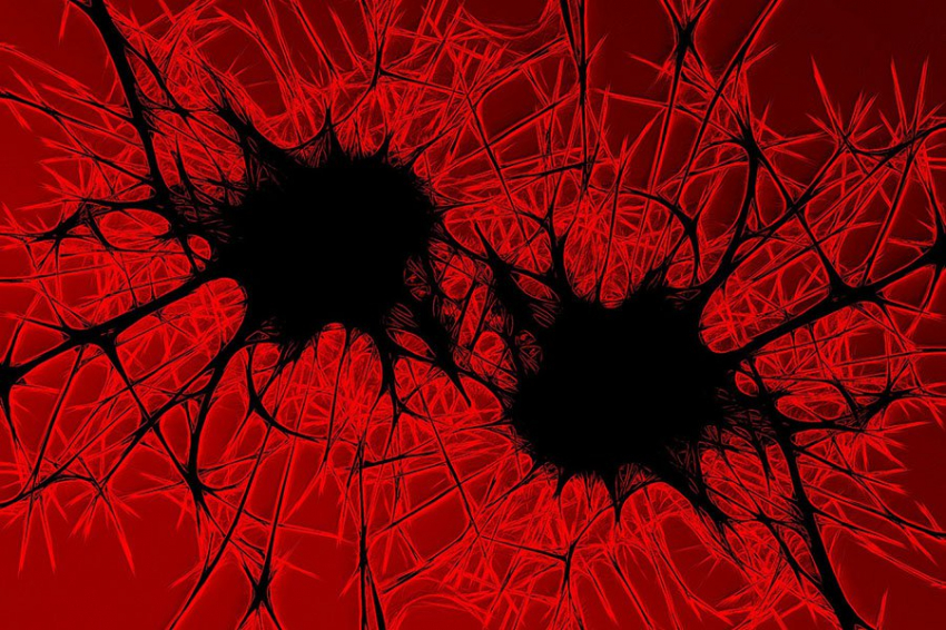 Погибающие во время воспаления клетки посылают сигналы о заживлении ран