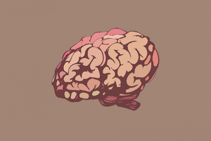 Выявлен способ защиты мозга от нейродегенерации после черепно-мозговых травм