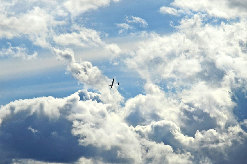 МО: за ночь над Белгородской, Брянской и Курской областями сбили пять БПЛА