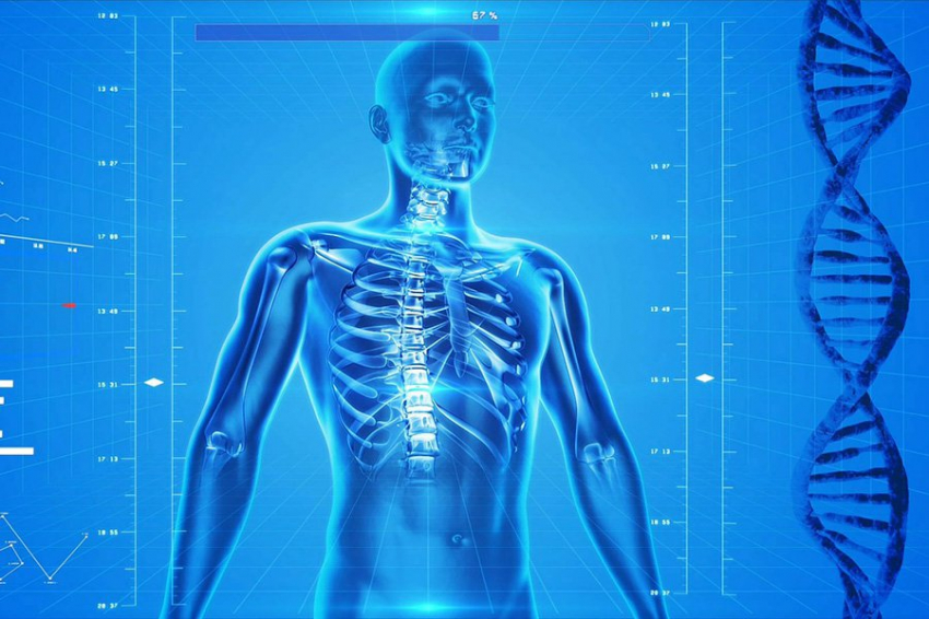 Как гены формируют черты личности: обнаружены новые связи