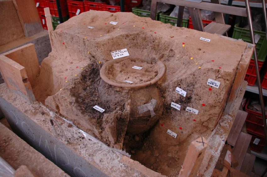 Зубы волка найдены в древнем венецианском кремационном захоронении