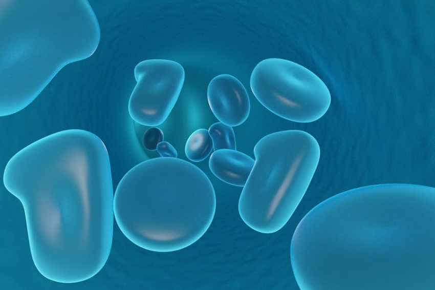 Ученые создают хранилище стволовых клеток, ориентированное на долгожителей