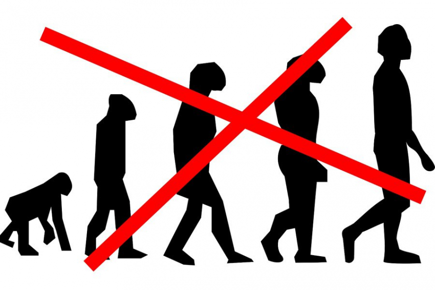 Вертьянов: наукой доказано - человек не мог произойти от обезьяны