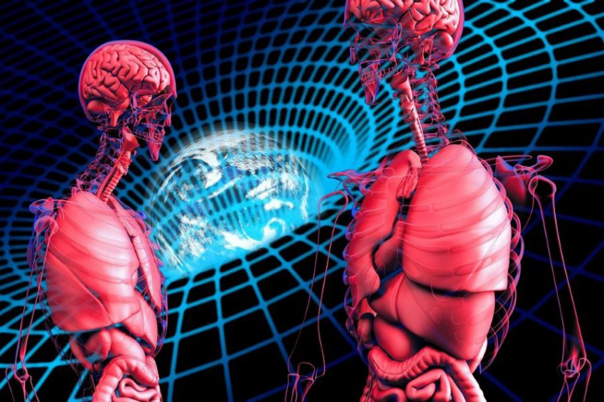 От некроза до апоптоза: ученые раскрывают тайны клеточной гибели