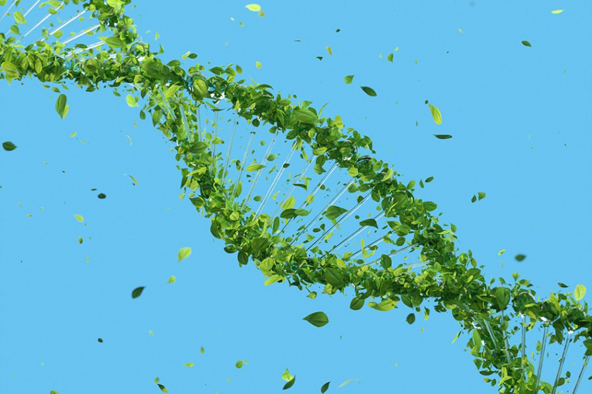 Nature: сложные молекулы стабилизировались и дали толчок жизни на Земле