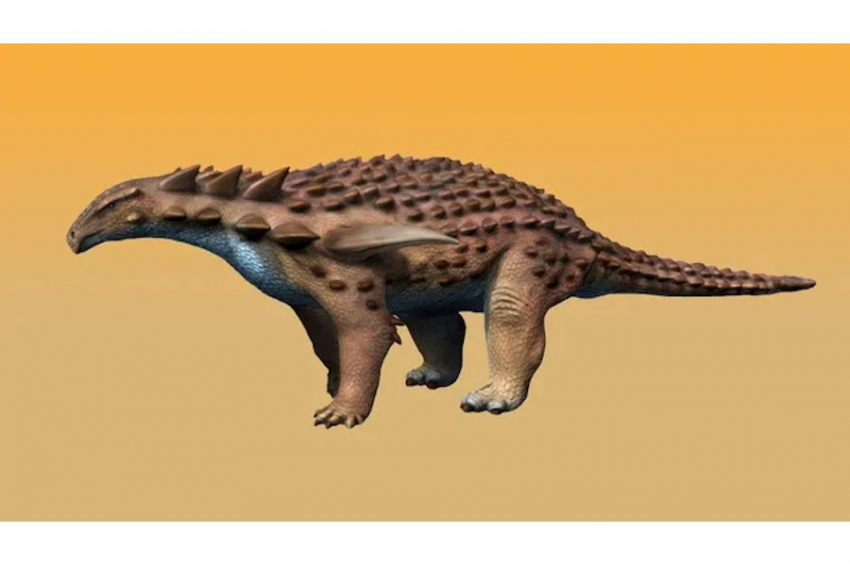 Панцирь для тарана: древний динозавр обладал 16-сантиметровой броней