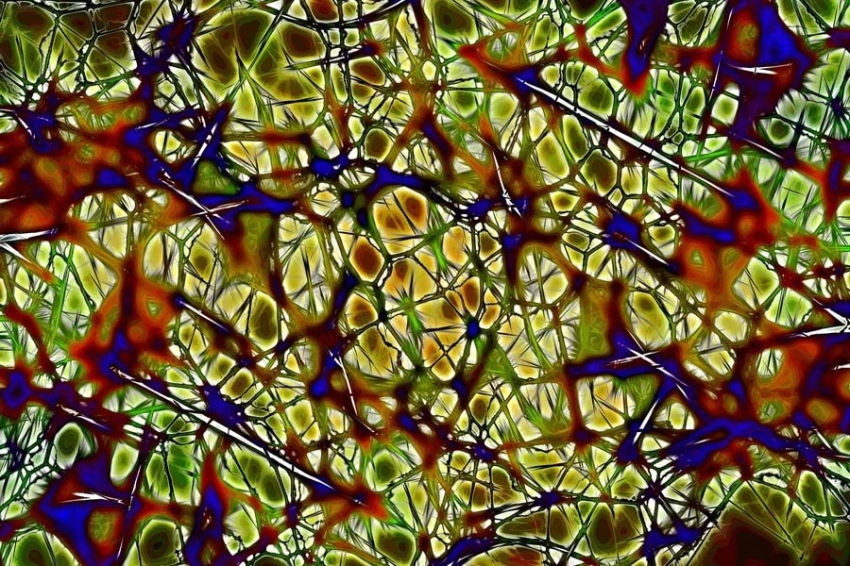 Ученые обнаружили, что память не ограничивается нашим мозгом