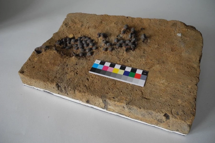 Остатки римской подкованной обуви найдены в Германии