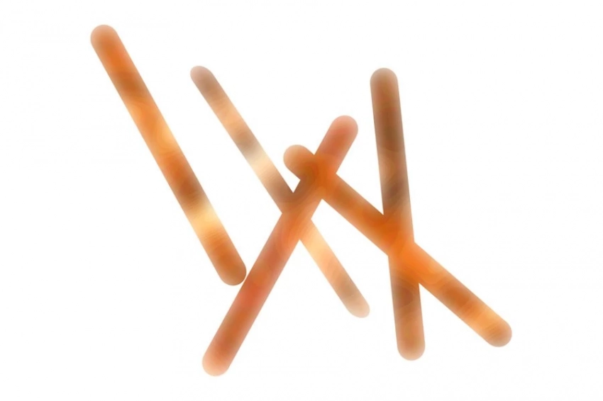 Туберкулезная палочка: раскрыт секрет высокой смертности и устойчивости бактерий