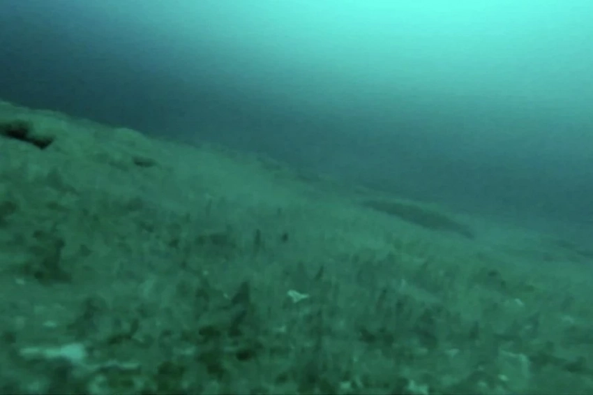 В озере в Антарктиде обнаружена уникальная экосистема со странными микробами