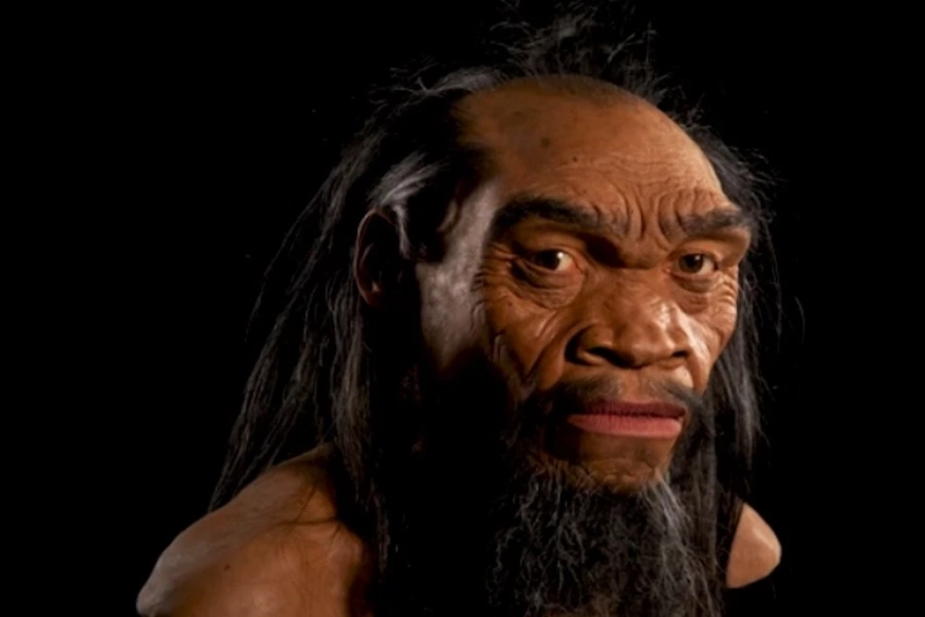 Харбинский череп помог воссоздать облик денисовцев