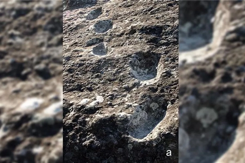 Ученые выяснили, что за люди ходили по вулканическим обломкам 350 000 лет назад